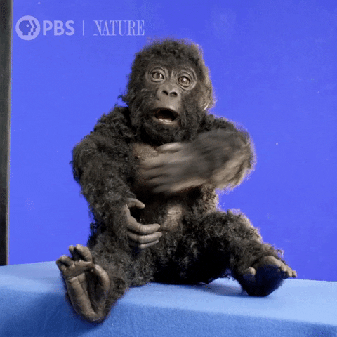 GIF by Nature on PBS