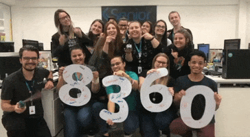 Senior Sistemas GIF
