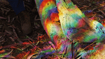 Art Rainbow GIF by Adam Ferriss