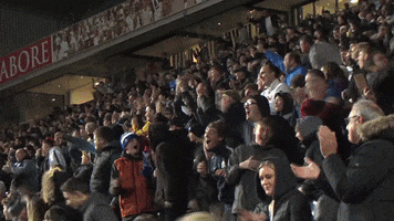 Fans Celebrating GIF by Blackburn Rovers