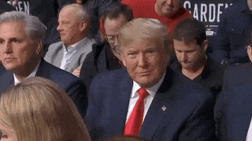Donald Trump Thumbs Up GIF by UFC