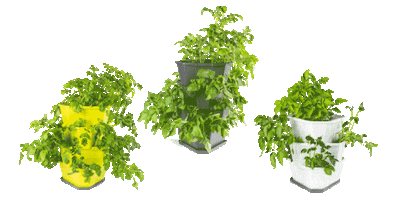 Gusta Garden Sticker