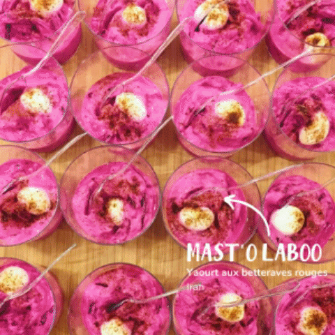 Lescuistotsmigrateurs GIF