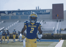 College Sports Football GIF by Delaware Blue Hens