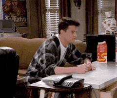 Season 2 Friends GIF