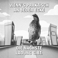 Pigeon Meme Gifs Get The Best Gif On Giphy Pigeon Meme Gifs Get The Best Gif On Giphy