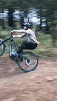 Wheelie Bpw GIF by Wilderness Trail Bikes