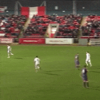 200.gif?cid=fc005b082ccee417dbef91dfd7fc983e893b607a5a9eadb7&rid=200.gif&ct=g