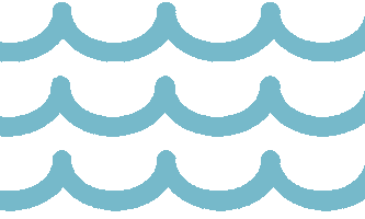 Sunshine Coast Young Chamber of Commerce Sticker