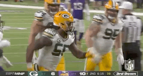 Packers fan at Vikings game .gif, as requested : r/minnesotavikings