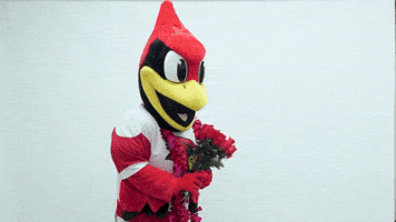 Mascot Reggie GIF by Illinois State University
