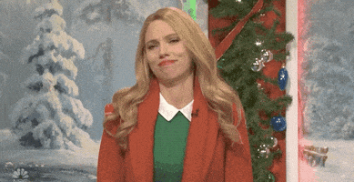 Snl GIF by Saturday Night Live