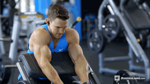 Preacher Curl GIFs - Get the best GIF on GIPHY