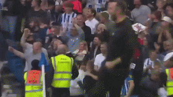 De Zerbi GIF