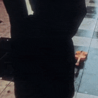 Krnl Fluxus GIF - KRNL FLUXUS - Discover & Share GIFs