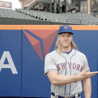 Showing Noah Syndergaard GIF by Delta Air Lines