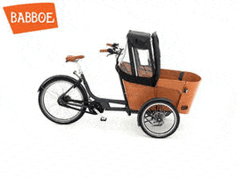 babboe_cargobike transporter cargobike carve bakfiets GIF