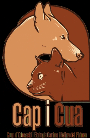 Cat GIF