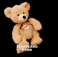 Teddylandrothenburg teddybear steiff teddybär rothenburg GIF
