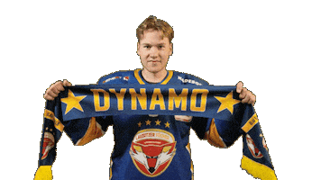 Swing Celebrate Sticker by Lausitzer Füchse