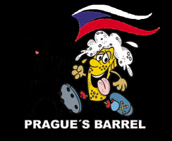 Prague's Barrel GIF