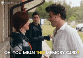 Dan Levy Comedy GIF by CBC