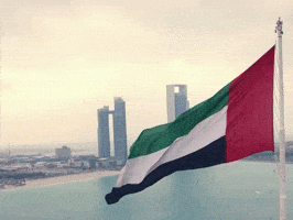 Flag Uae GIF