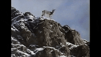 Music Video Mountains GIF