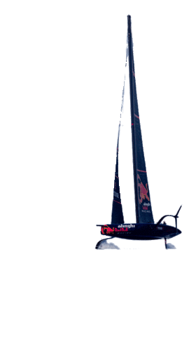 Alinghi Red Bull Racing Sticker