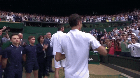 2017 wimbledon