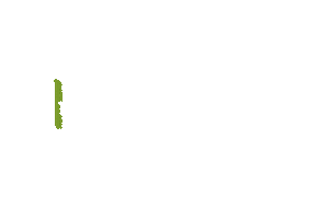 True Nopal Cactus Water Sticker by truenopaluk