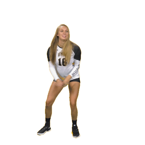 Umbc Volleyball Sticker