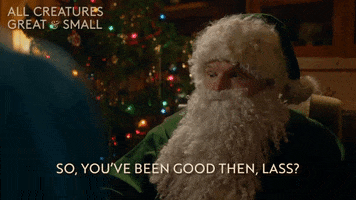 Merry Christmas Lass GIF by All Creatures Great And Small