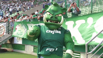 forca gobbato GIF by SE Palmeiras