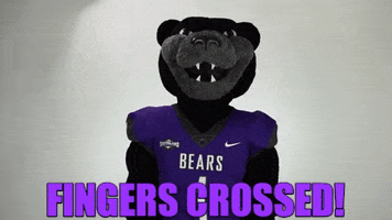 goodluck bearclawsup GIF by University of Central Arkansas
