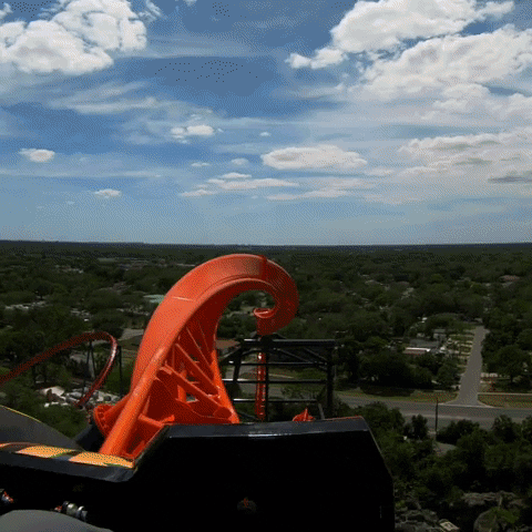 Roller Coaster GIF by Busch Gardens - Find & Share on GIPHY