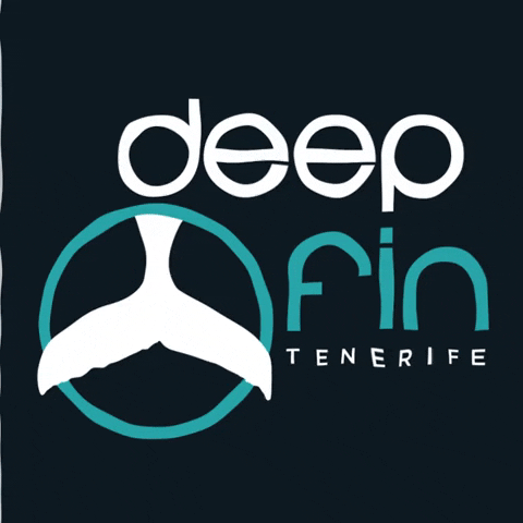 deepfintenerife dive diving tenerife deepfin GIF