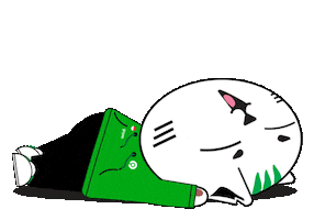 Cat Meme Sticker by Gojek Indonesia