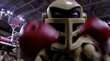 boxing cheer GIF by UCF Knights