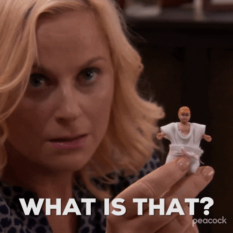 What Is That Season 4 GIF by Parks and Recreation