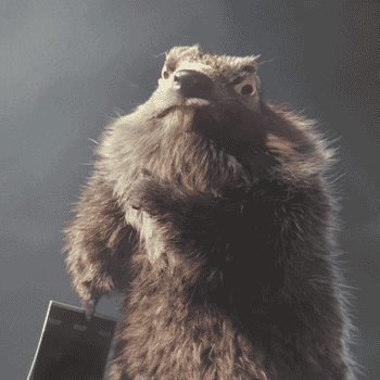 Marmotte Milka Gifs Get The Best Gif On Giphy