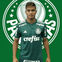 goal comemoracao GIF by SE Palmeiras