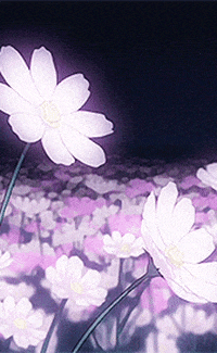 Flowers Aesthetics GIF by animatr - Find & Share on GIPHY