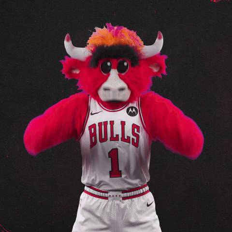 Oh No Sport GIF by Chicago Bulls