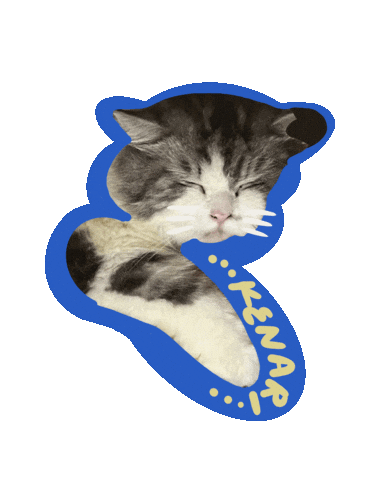 Cat Meow Sticker