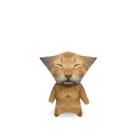 Cat Farting GIF