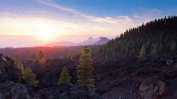 Sunrise Dawn GIF - Find & Share on GIPHY