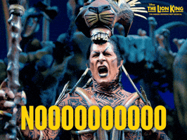 The Lion King Noo GIF by Disney On Broadway