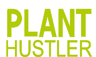 Plant Hustler Sticker