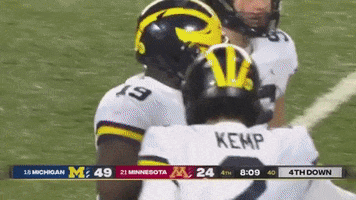 Michigan Football GIF